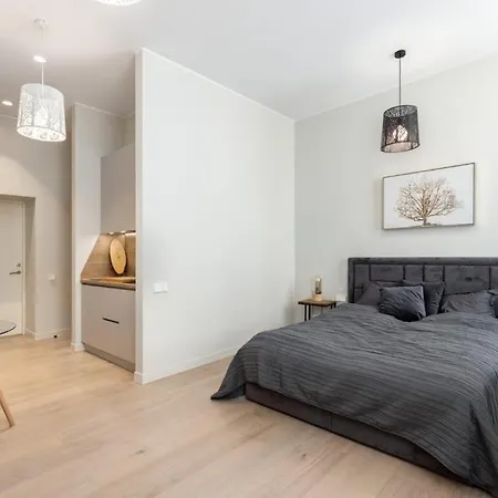 Apartment Kalnina Street
